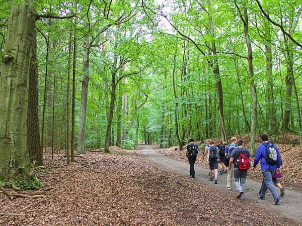 EYB-Wanderung-Tegeler-Forst - Kopie